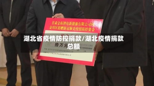 湖北省疫情防控捐款/湖北疫情捐款总额-第1张图片