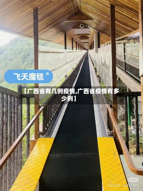 【广西省有几例疫情,广西省疫情有多少例】-第2张图片