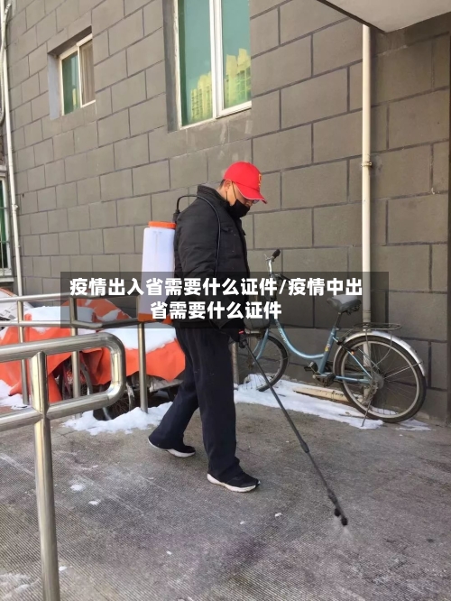疫情出入省需要什么证件/疫情中出省需要什么证件-第1张图片