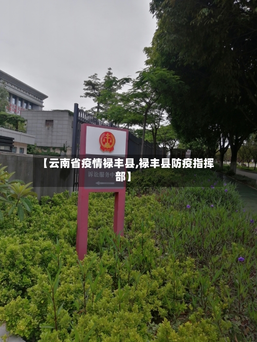 【云南省疫情禄丰县,禄丰县防疫指挥部】-第1张图片