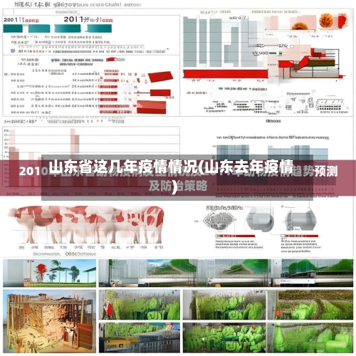 山东省这几年疫情情况(山东去年疫情)-第2张图片
