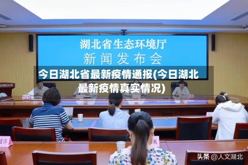 今日湖北省最新疫情通报(今日湖北最新疫情真实情况)-第1张图片