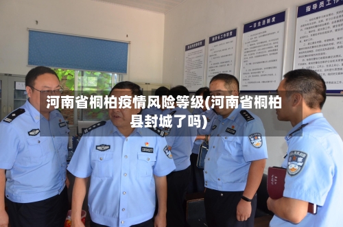 河南省桐柏疫情风险等级(河南省桐柏县封城了吗)-第2张图片