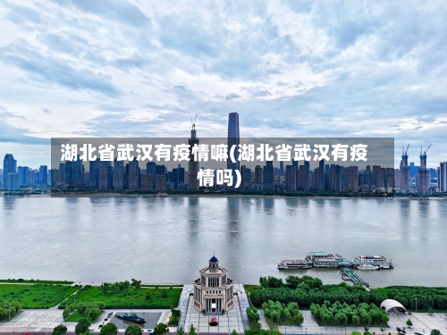 湖北省武汉有疫情嘛(湖北省武汉有疫情吗)-第2张图片