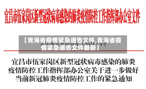 【青海省疫情紧急通告文件,青海省疫情紧急通告文件最新】-第2张图片