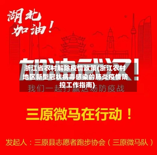 浙江省农村解除疫情政策(浙江农村地区新型冠状病毒感染的肺炎疫情防控工作指南)-第2张图片