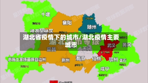 湖北省疫情下的城市/湖北疫情主要城市-第3张图片