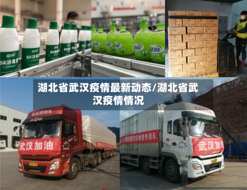 湖北省武汉疫情最新动态/湖北省武汉疫情情况-第2张图片