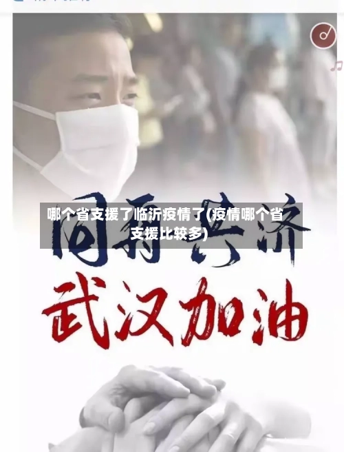哪个省支援了临沂疫情了(疫情哪个省支援比较多)-第2张图片