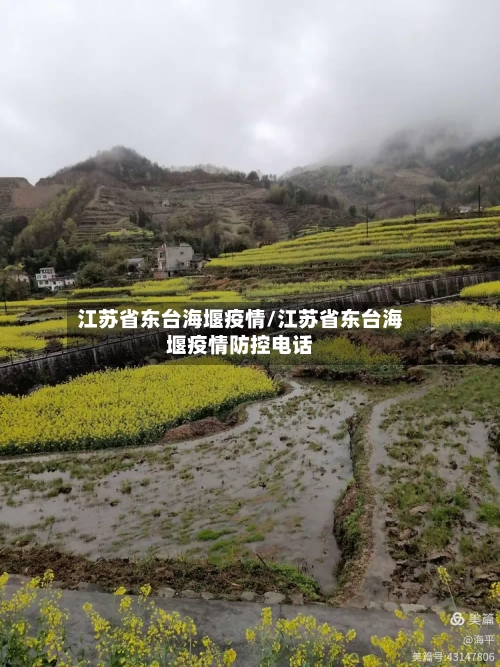 江苏省东台海堰疫情/江苏省东台海堰疫情防控电话-第3张图片