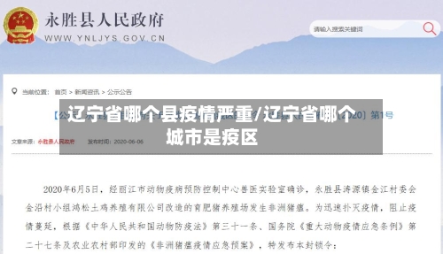 辽宁省哪个县疫情严重/辽宁省哪个城市是疫区-第1张图片