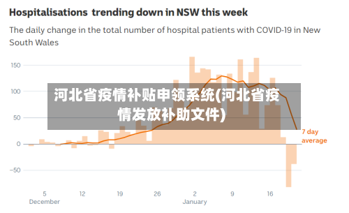 河北省疫情补贴申领系统(河北省疫情发放补助文件)-第1张图片