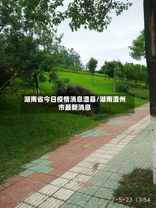 湖南省今日疫情消息澧县/湖南澧州市最新消息-第2张图片