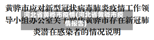 河北省黄桦市疫情(河北省黄骅市疫情报告)-第2张图片