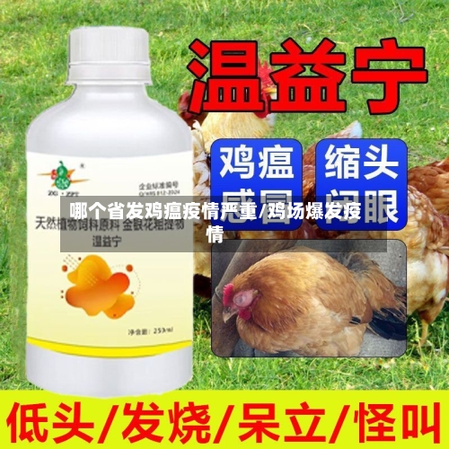 哪个省发鸡瘟疫情严重/鸡场爆发疫情-第3张图片