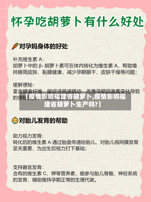 【疫情影响福建省胡萝卜,疫情影响福建省胡萝卜生产吗?】-第1张图片