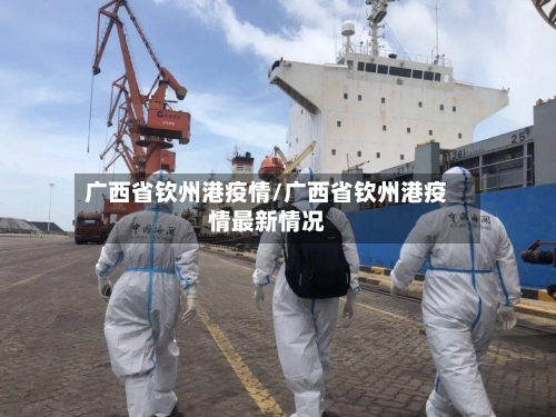 广西省钦州港疫情/广西省钦州港疫情最新情况-第2张图片