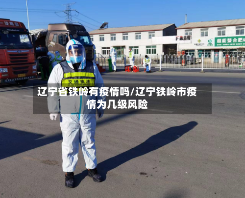 辽宁省铁岭有疫情吗/辽宁铁岭市疫情为几级风险-第3张图片