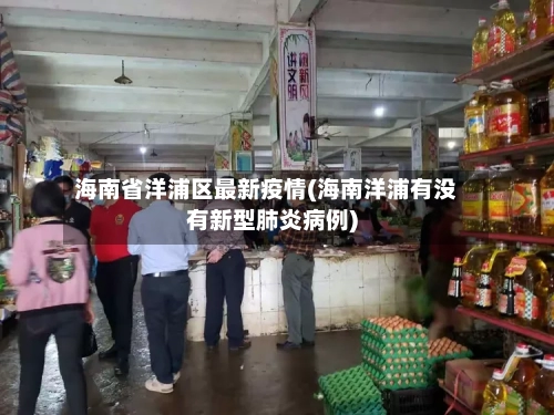 海南省洋浦区最新疫情(海南洋浦有没有新型肺炎病例)-第1张图片