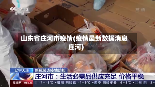 山东省庄河市疫情(疫情最新数据消息庄河)-第1张图片