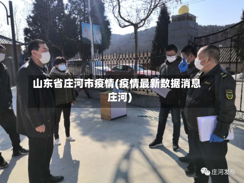 山东省庄河市疫情(疫情最新数据消息庄河)-第2张图片