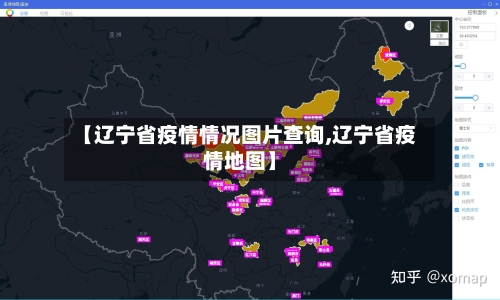 【辽宁省疫情情况图片查询,辽宁省疫情地图】-第1张图片