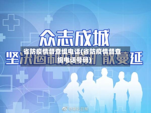 省防疫情督查组电话(省防疫情督查组电话号码)-第2张图片