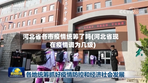 河北省各市疫情统筹了吗(河北省现在疫情调为几级)-第2张图片