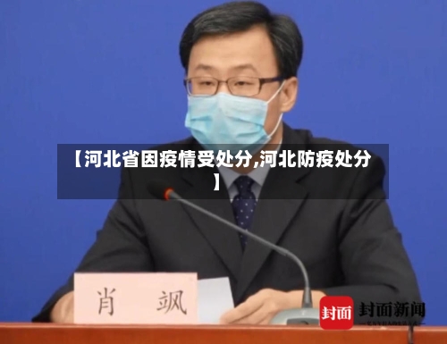 【河北省因疫情受处分,河北防疫处分】-第1张图片