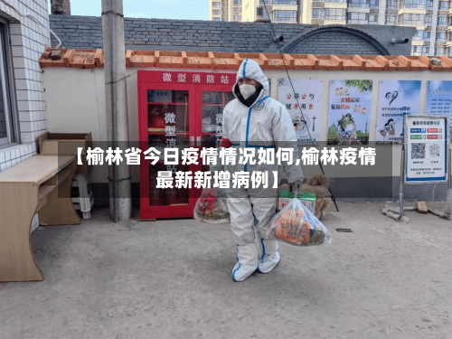 【榆林省今日疫情情况如何,榆林疫情最新新增病例】-第3张图片