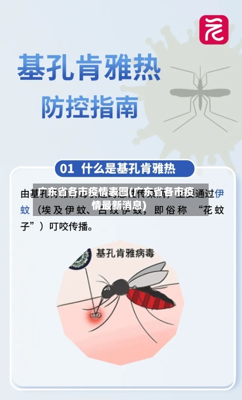 广东省各市疫情表图(广东省各市疫情最新消息)-第1张图片
