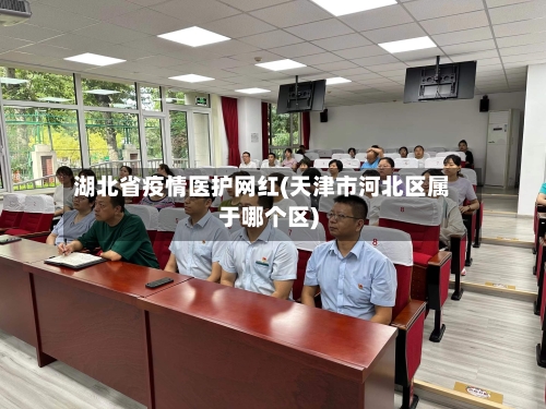 湖北省疫情医护网红(天津市河北区属于哪个区)-第3张图片