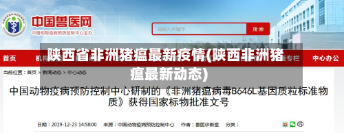 陕西省非洲猪瘟最新疫情(陕西非洲猪瘟最新动态)-第1张图片