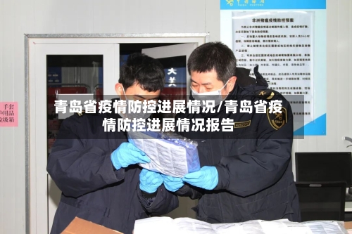 青岛省疫情防控进展情况/青岛省疫情防控进展情况报告-第1张图片