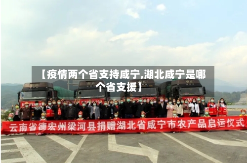 【疫情两个省支持咸宁,湖北咸宁是哪个省支援】-第2张图片