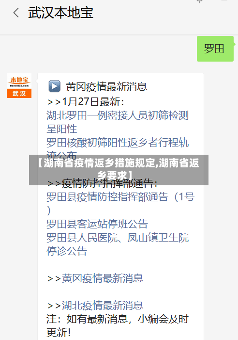 【湖南省疫情返乡措施规定,湖南省返乡要求】-第2张图片