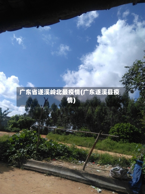 广东省遂溪岭北最疫情(广东遂溪县疫情)-第1张图片