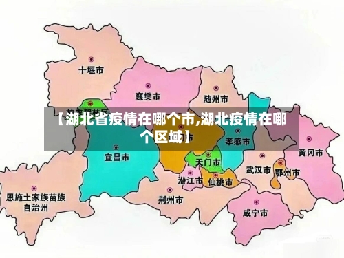 【湖北省疫情在哪个市,湖北疫情在哪个区域】-第3张图片