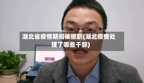 湖北省疫情期间被撤职(湖北疫情处理了哪些干部)-第1张图片