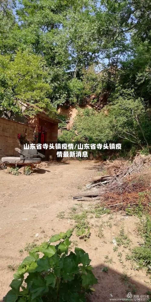 山东省寺头镇疫情/山东省寺头镇疫情最新消息-第1张图片