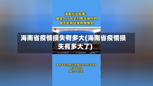 海南省疫情损失有多大(海南省疫情损失有多大了)-第2张图片
