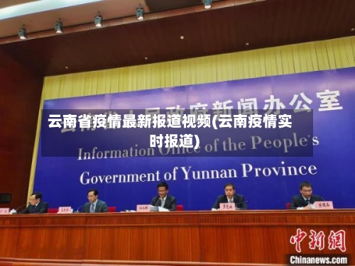 云南省疫情最新报道视频(云南疫情实时报道)-第3张图片