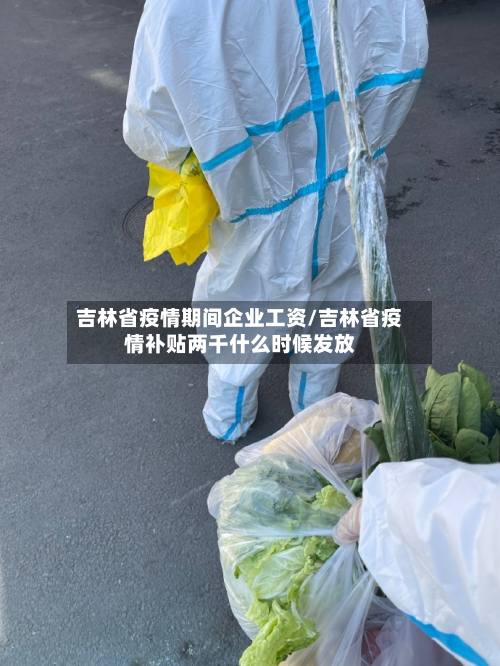 吉林省疫情期间企业工资/吉林省疫情补贴两千什么时候发放-第2张图片